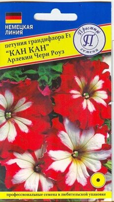 Петуния гранд."Кан Кан" Арлекин Чери Роуз